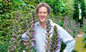 Acanthus mollis x spinosus 'morning candle' name deutsch: Well Worth Waiting For With Spires Up To 8ft Tall Acanthus Makes A Majestic Statement In Your Border Says Monty Don Plant It Now For A Dramatic Display Next Summer Daily