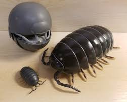 Kingdom Animalia Phylum Arthropoda Exoskeleton Class Crustacea 5 Or More Pairs Of Legs 2 Pair Of Antennae Bandai Stag Beetle Vinyl Figures