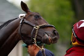 mccraken ok after kentucky derby but wont run in preakness