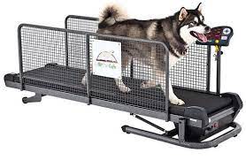 Pin On Things For Buddy