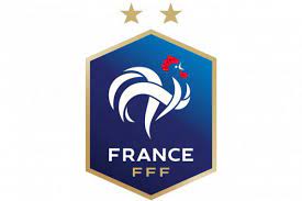 Les bleus ont remporté la coupe du monde de football 2018. La Federation Francaise De Football Devoile Ses Nouveaux Logos 2 Etoiles L Equipe
