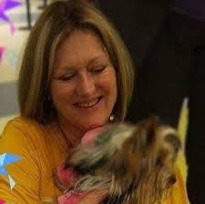 How to make a comfortable space for a pregnant yorkie?