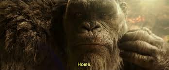 Check spelling or type a new query. Watch Movie Godzilla Vs Kong Full Hd Online Free Everyeventgives