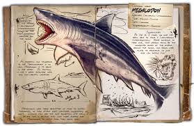 There is a minor restoration on one edge at the base of the crown. Megalodon Hai Ark Survival Evolved Forum Und Community