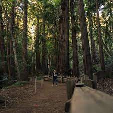 Access 30744 reviews, 8268 photos & 6117 tips of every rv park & campground in california. Pfeiffer Big Sur Campground Pfeiffer Big Sur Ca 60 Hipcamper Reviews And 118 Photos