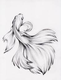 Water Dance Original Charcoal Pencil Drawing Of A Siamese Betta Fighting Fish Pencildrawings Water Danc Pencil Drawings Of Animals Fish Sketch Fish Drawings