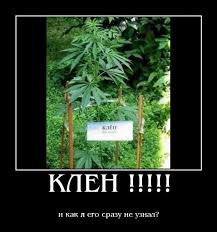 Россия гарантирует поддержку "независимости" и безопасности Абхазии, - Путин - Цензор.НЕТ 1869