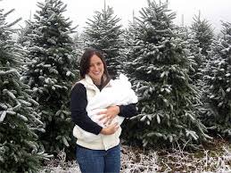 Our choose and cut christmas tree lot, pumpkin patch, and corn maze are conveniently located on us highway 18 between the scenic blue ridge parkway and the quaint town of sparta in alleghany county, north carolina. Greene Tree Farm Boone Nc Choose And Cut Christmas Trees Photos