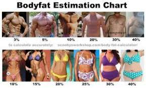 If you weigh 200lbs and your body fat percentage is 30%, this means that your body fat weight (bfw) is 60lbs. Pin On Fitness