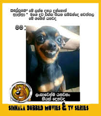We did not find results for: Sinhala English Jokes Quotes Posts Facebook