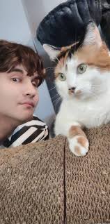 What Taylor Swift era is my calico cat Kiki from?