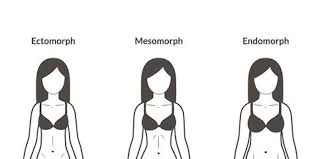 Short and stocky body type drawing. The 3 Body Types And How They Affect Your Weight Loss Prevention