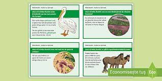 Romania se afla pe ruta mai multor culoare de migrare ale pasarilor. Delta DunÄrii Carduri Cu InformaÈii