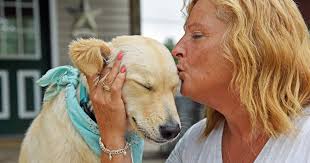 Since the major supplier of those dogs and cats were mill type set ups it's hard to disagree with closing down that one avenue. Beware Of Puppy Leasing Puppies Pet Store Pets