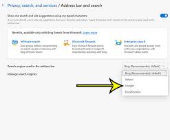 Change to any other search engine by clicking on the dropdown next to the search engine used in the address bar label. How To Change Default Search Engine From Bing To Google In Microsoft Edge Live2tech
