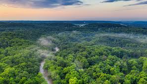 Select the department you want to search in. Ecuador Wil 3 Miljoen Hectare Amazone Veilen Marketingtribune B2b