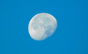 Calendrier lunaire du mois de février 2021 pour jardiner avec la lune. Comment Jardiner Avec La Lune Les Trucs Et Astuces A Savoir