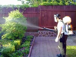 Spray again at bud swell or bud burst in late winter or early spring. How To Breed Copper Vigorous Processing Fruit Trees And Shrubs How To Dilute Copper Vigorous For Treating Crops And Trees