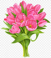 Check spelling or type a new query. Stock Photography Tulip Flower Royalty Free Clip Art Png 4408x5000px Stock Photography Botanical Illustration Cut Flowers