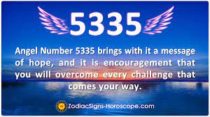 Angel Number 5335 Life Is Precious Enjoy It Always