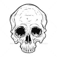 Human Skull Scary Art Hand Drawn In Line Style Isolated Vector Illustration Can Be Tattoo Bag Print T Shirt Print Stick How To Draw Hands Skull Skull Hand