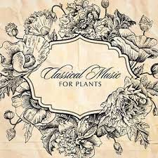 Classical Music For Plants Songs Download Classical Music For Plants Songs Mp3 Free Online Movie Songs Hungama Classical Music Plant Song Trending Songs