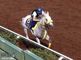 スノードラゴン ドラゴン 馬 スノー