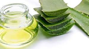 Aloe Vera Nedir Neye Iyi Gelir Ve Nasil Kullanilir Aloe Dogal Cilt Evde Hazirlabilen Ilaclar