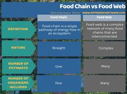 So a food chain can be considered as a part of the food web. Difference Between Food Chain And Food Web Compare The Difference Between Similar Terms