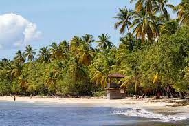 Select from premium martinique beach of the highest quality. Best Beaches In Martinique French Antilles France Bucket List