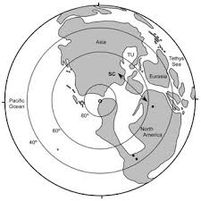 Ora oficiala de vara, ora europei orientale la care trece tara noastra in noaptea de sambata spre duminica (27 spre 28 martie 2021), a fost introdusa in romania pentru prima data in 1932. Pdf The Taxonomy And Biogeographic History Of Glyptostrobus Endlicher Cupressaceae