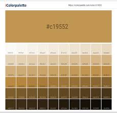 A wide variety of amber gold options are available to you, such as shape\pattern, main stone, and jewelry main material. Hex Color Code C19552 Amber Gold Color Information Hsl Rgb Pantone