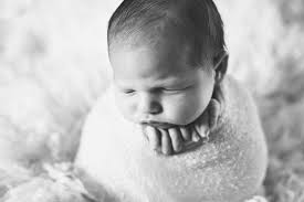 Tami Wolak Photography