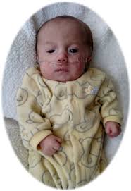 Gunner Thelen Obituary November 28, 2016