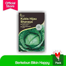 Sylvestris, yang tumbuh di 2 kubis liar tersebut ada yang tumbuh sebagai tanaman biennial dan ada juga yang perenial. Jual Benih Bibit Kubis Hijau Terbaru Juli 2021 Blibli