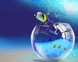 We did not find results for: Desktop Wallpaper Hd 3d Full Screen Free Download