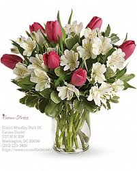 Washington dc, popularly known as dc (district of columbia) the capital city of the united states of america. Best Florist In Woodley Park Dc