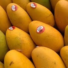 Ataulfo mangoes, also known as honey mangoes, have a bright yellow skin. Mangoes Available Ataulfo Mango Abbuarwaa Produce Facebook