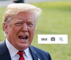 This page is about the various possible meanings of the acronym, abbreviation, shorthand or slang term: Google Proves Without A Doubt Donald Trump Is An Idiot Juggler Design