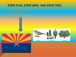 Initially, all three branches of the new state government occupied the four floors of the statehouse. Arizona Andrew M Cameron B Nickname Region In The U S Capital City Major Cities And Population The Nickname Of Arizona Is The Grand Canyon State Ppt Download