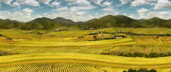 米各馬文創美術外包案例 場景 王牌數位 地中海鄉間 outdoor art farmland