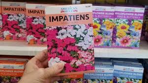 See more ideas about flower arrangements, floral arrangements, flowers. Vegetable Seeds Flower Seeds Just 25 At Dollar Tree More