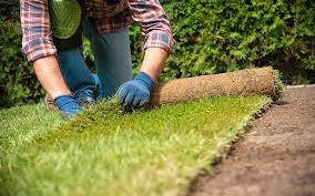 Maybe you would like to learn more about one of these? 5 Steps For Laying Sod On A Slope Get Sod To Take Root Fast Pepper S Home Garden