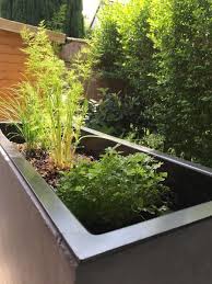 Unsere Pflanzkubel Krauter In Der Pflanztroge Auf Der Terrasse Pflanzen Terrasse Pflanzen Pflanzen Krauter Anpflanzen
