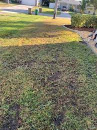 Best Pest Control In Cape Coral Fl Mapquest