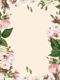 Flowers Flower Background Wallpaper Flower Backgrounds Colorful Backgrounds