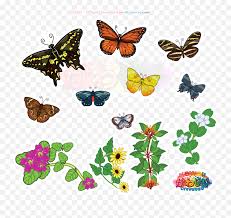 Find gifs with the latest and newest hashtags! Kawaii Clipart Butterfly Transparent Free Gif Animation Butterflies Animated Gif Png Free Transparent Png Images Pngaaa Com