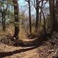 Continential Lane Hike