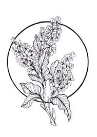 Pin By Jennie Martell On On The Outside Lilac Tattoo Tattoos Flower Drawing