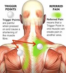 17 muscles that cause the most back pain (and how to get relief!) find out which muscles are behind your back pain… and most the latissimus dorsi aids in scapular stability and respiration, but its main job is to bring overhead objects safely to you. Deep Tissue Massage Everything You D Want To Know